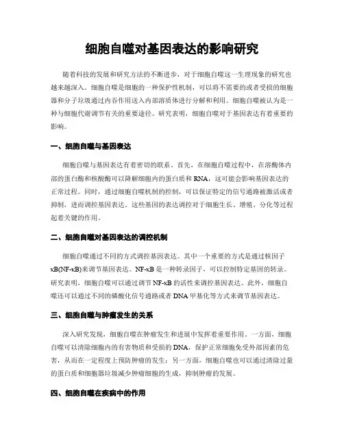 细胞自噬对基因表达的影响研究