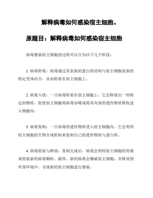 解释病毒如何感染宿主细胞。
