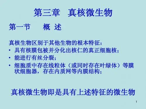 第三章 真核微生物