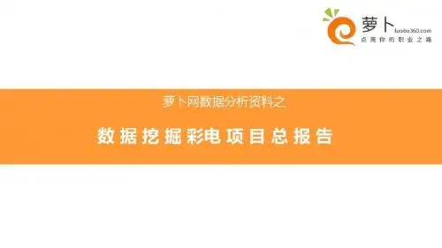 数据挖掘项目总报告-PPT课件