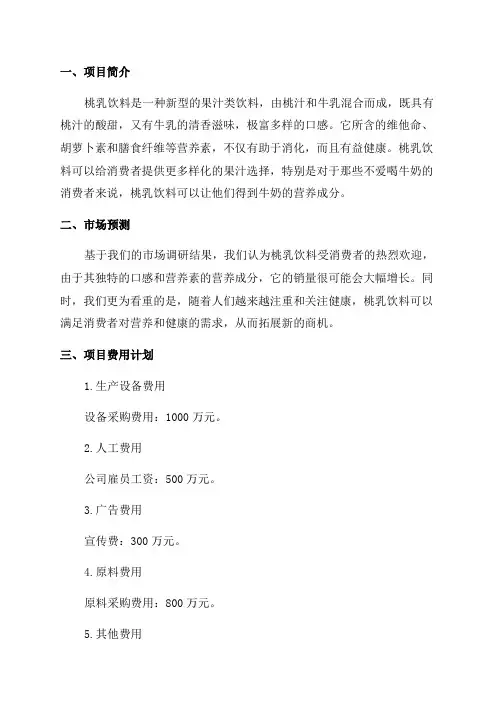 核桃乳饮料项目年度预算报告
