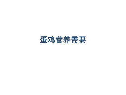 蛋鸡营养需要
