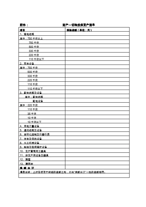 5.2.9_资产投保_工作底稿1_投保资产清单