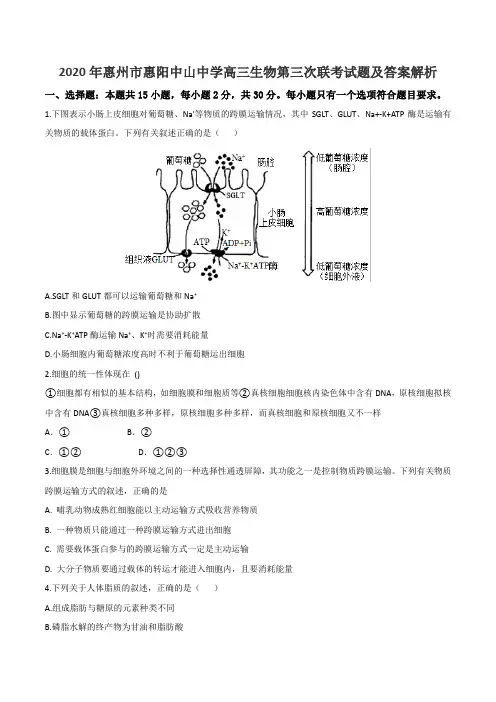 2020年惠州市惠阳中山中学高三生物第三次联考试题及答案解析