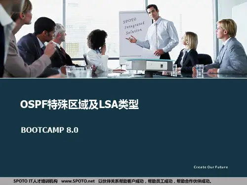 OSPF特殊区域及LSA类型解读