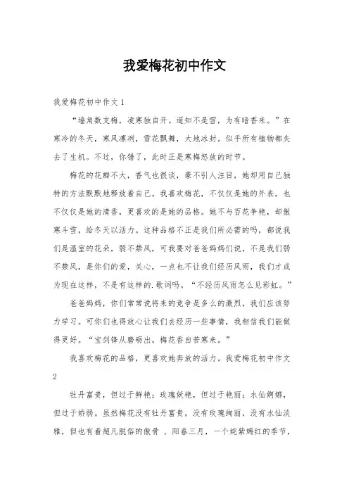 我爱梅花初中作文