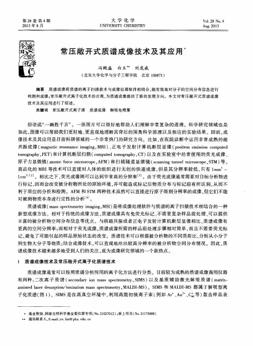 常压敞开式质谱成像技术及其应用
