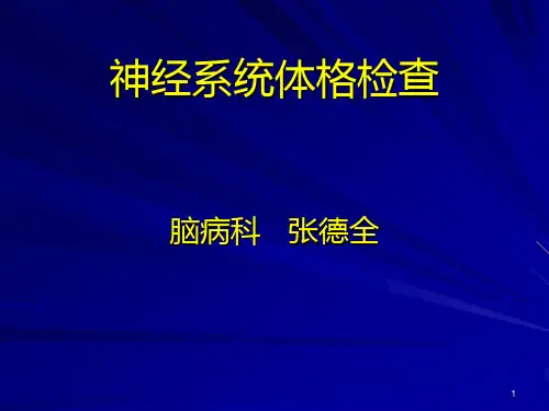 神经系统体格检查82678PPT课件