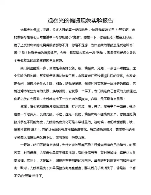 观察光的偏振现象实验报告
