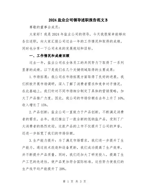 2024盐业公司领导述职报告范文B