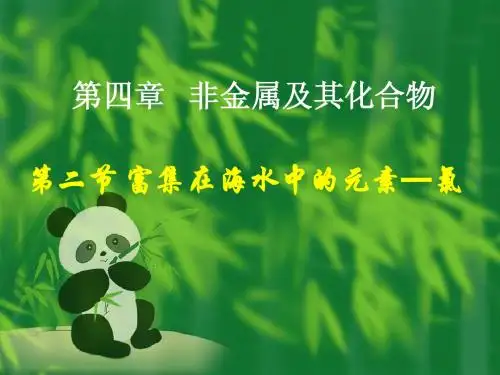 化学必修1第四章第二节 富集在海水中的元素—氯PPT