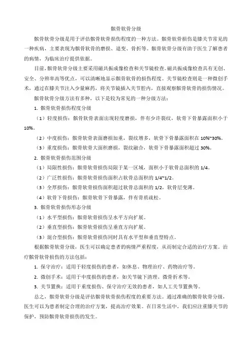 髌骨软骨分级