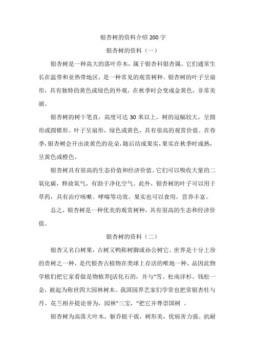 银杏树的资料介绍200字