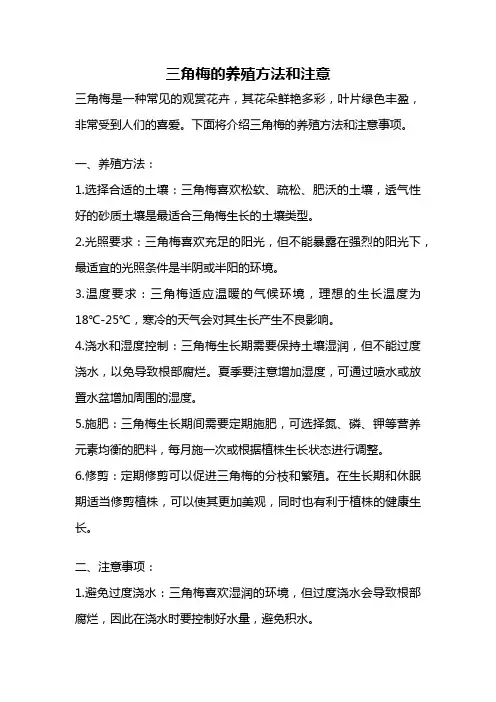 三角梅的养殖方法和注意