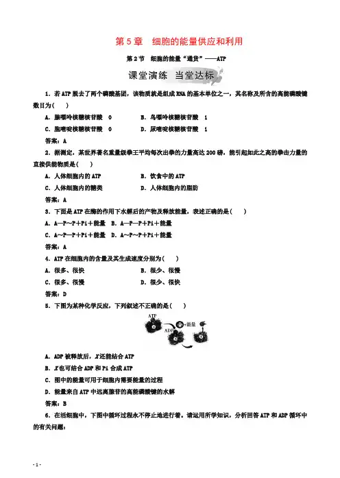 人教版高一生物必修一检测：第5章第2节细胞的能量“通货”—atp(有答案)