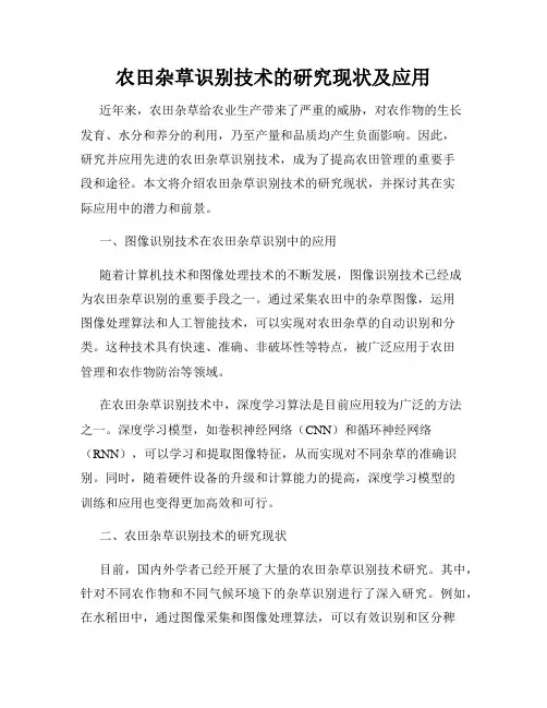 农田杂草识别技术的研究现状及应用