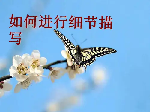初中作文指导：《如何进行细节描写》PPT1