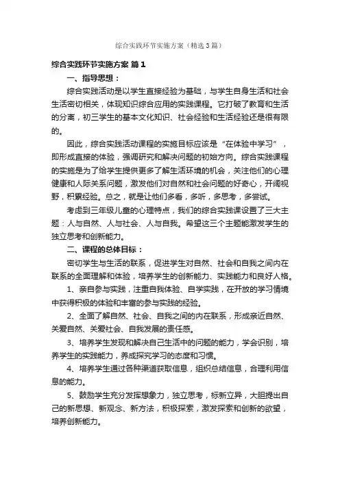 综合实践环节实施方案（精选3篇）