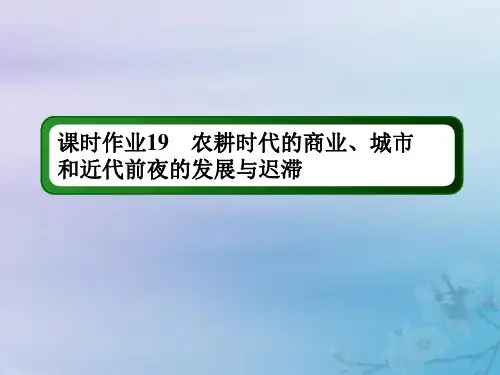 2021高考历史大一轮复习课时作业19农耕时代的商业、城市和近代前夜的发展与迟滞课件岳麓版