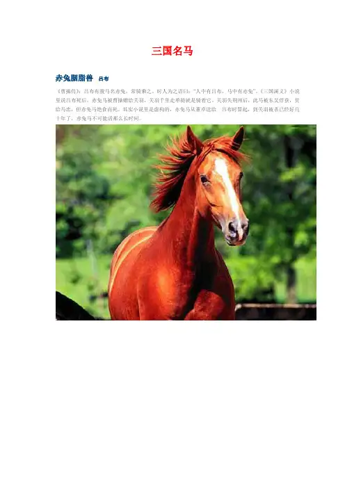 中国名马之三国名马