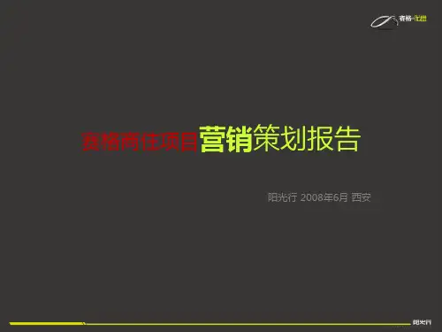 西安赛格商住地产项目营销策划提案报告-220PPT-2008年