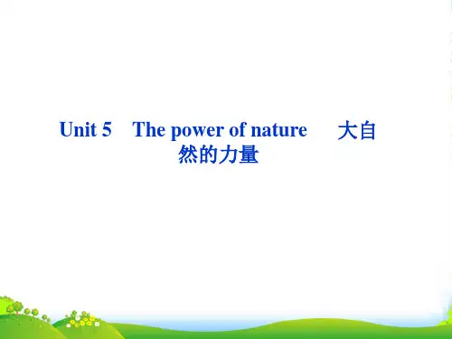 高考英语一轮复习 Unit 5 The power of nature课件 新人教