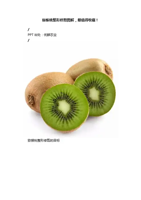 猕猴桃整形修剪图解，最值得收藏！