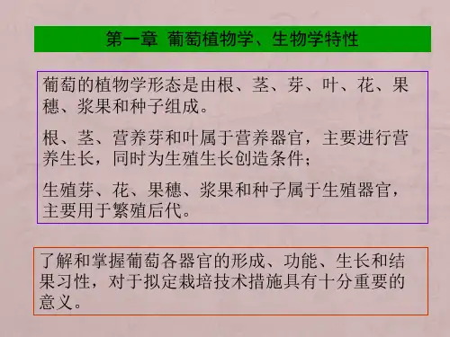 葡萄植物学特性
