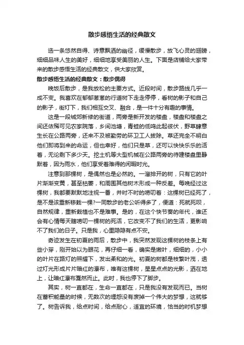 散步感悟生活的经典散文