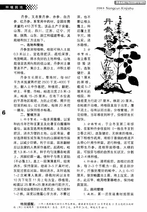 丹参栽培与加工技术