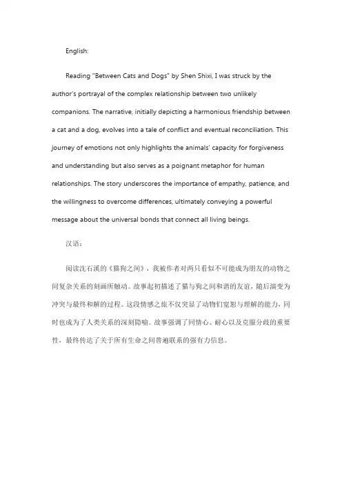 沈石溪猫狗之间读后感