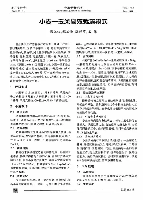 小麦—玉米高效栽培模式