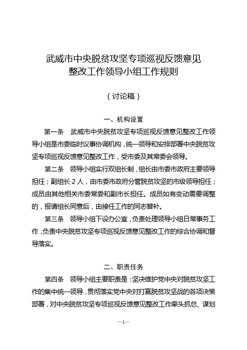 整改领导小组工作规则