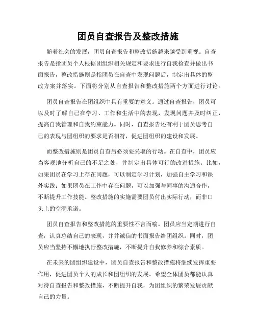 团员自查报告及整改措施