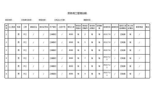 劳务用工管理台账-标准模板