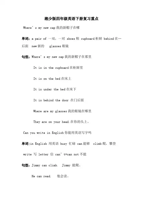 kehgiAAA湘少版英语四年级下册复习重点