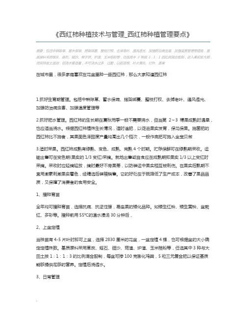 西红柿种植技术与管理_西红柿种植管理要点