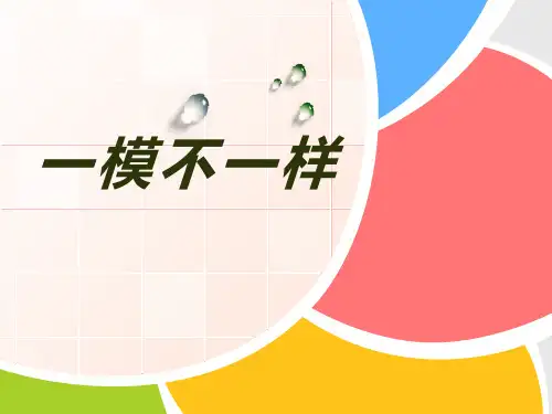 湘教版 小学美术 四上12 一模不一样 附教学过程