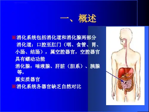 消化系统影像学表现详细全面ppt课件
