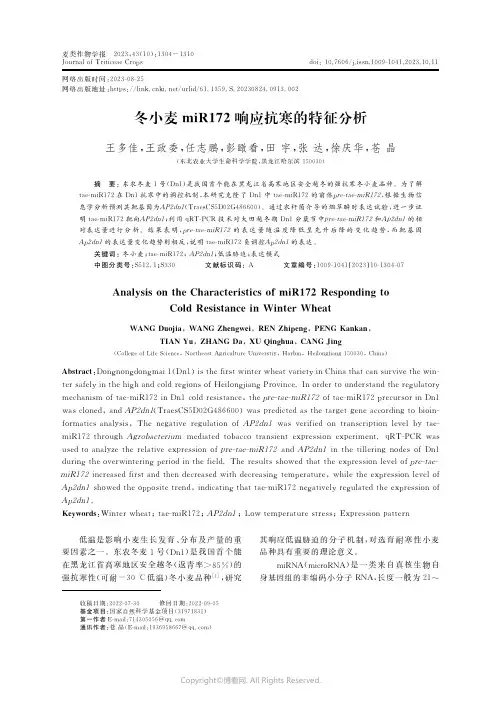 冬小麦ｍｉＲ１７２响应抗寒的特征分析