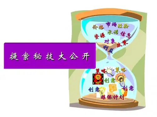 广告提案课件(PPT 59张)