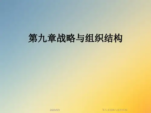 第九章战略与组织结构