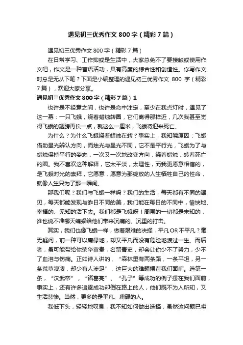 遇见初三优秀作文800字（精彩7篇）