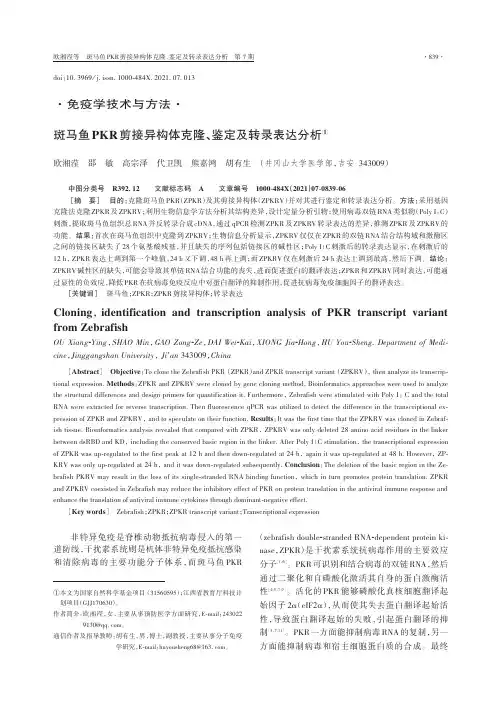 斑马鱼PKR剪接异构体克隆、鉴定及转录表达分析
