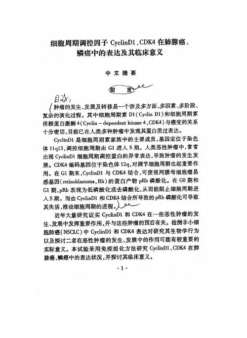 细胞周期调控因子CyclinD1、CDK4在肺腺癌、鳞癌中的表达和其临床意义