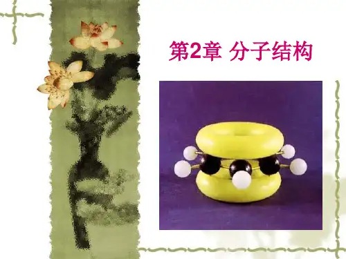 分子结构