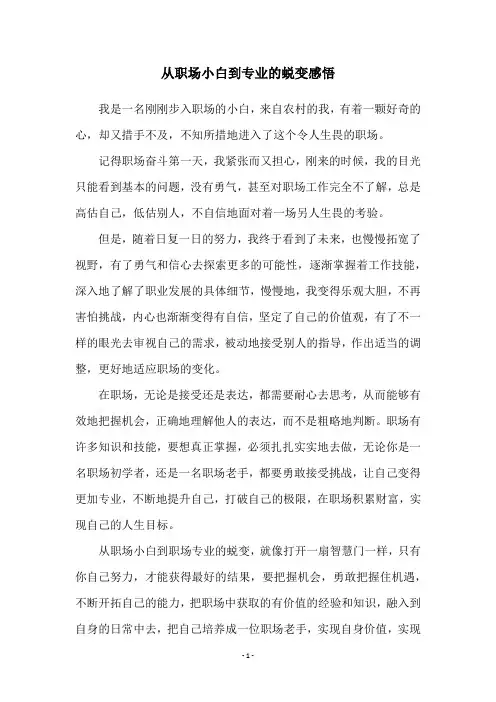 从职场小白到专业的蜕变感悟