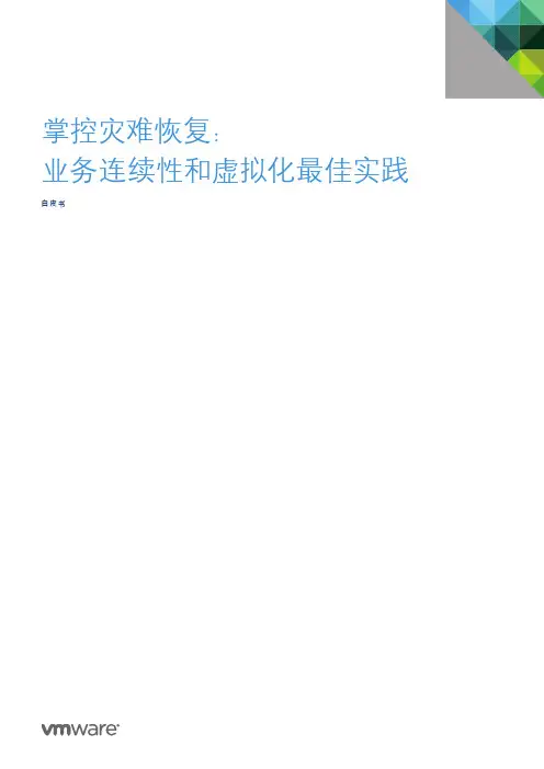 虚拟化和管理：掌控灾难恢复：业务连续性和虚拟化最佳实践白皮书