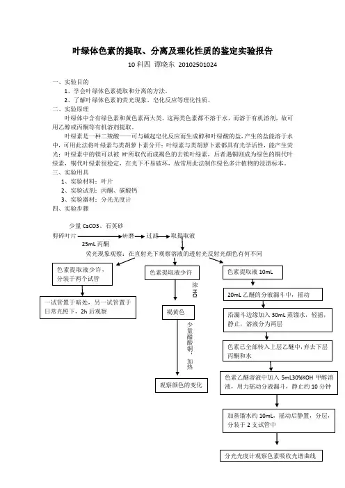 叶绿体色素的提取