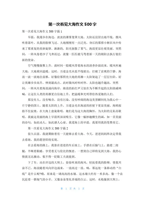 第一次看见大海作文500字
